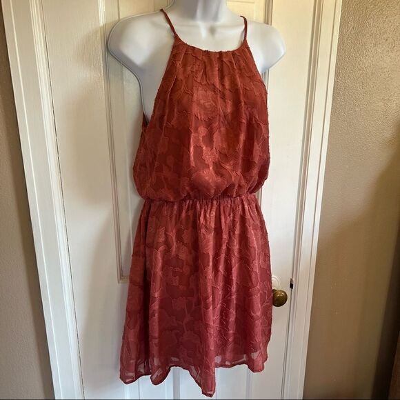 Rose color Francesca’s lace dress - Picture 6 of 15